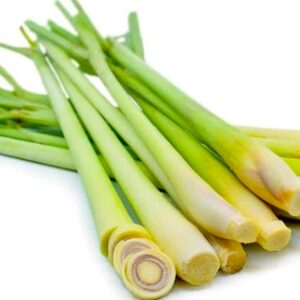 Lemon Grass Per 100g